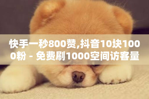 快手一秒800赞,抖音10块1000粉 - 免费刷1000空间访客量 - 抖音作品怎么样才能上热门-第1张图片-ZBLOG