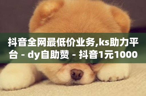 抖音全网最低价业务,ks助力平台 - dy自助赞 - 抖音1元1000赞-第1张图片-ZBLOG