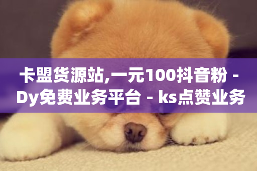 卡盟货源站,一元100抖音粉 - Dy免费业务平台 - ks点赞业务微信支付-第1张图片-ZBLOG