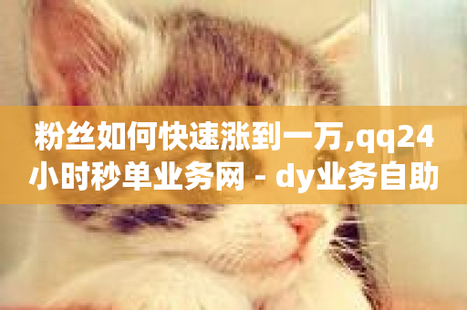 粉丝如何快速涨到一万,qq24小时秒单业务网 - dy业务自助下单软件 - 超低价快手业务平台-第1张图片-ZBLOG