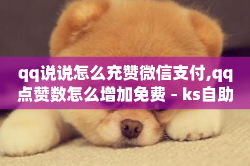 qq说说怎么充赞微信支付,qq点赞数怎么增加免费 - ks自助下单服务平台 - pubg低价卡网-第1张图片-ZBLOG