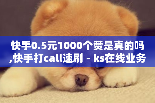 快手0.5元1000个赞是真的吗,快手打call速刷 - ks在线业务平台 - 闲鱼刷我想要软件