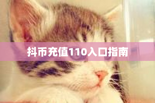 抖币充值110入口指南