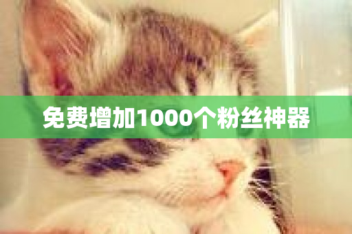 免费增加1000个粉丝神器-第1张图片-ZBLOG