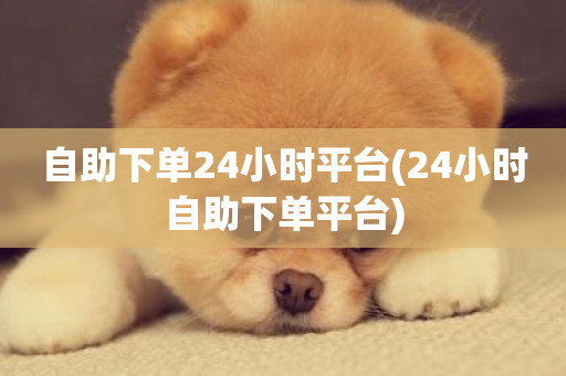 自助下单24小时平台(24小时自助下单平台)-第1张图片-ZBLOG