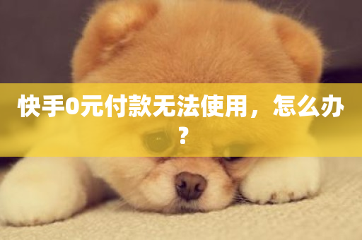 快手0元付款无法使用，怎么办？-第1张图片-ZBLOG