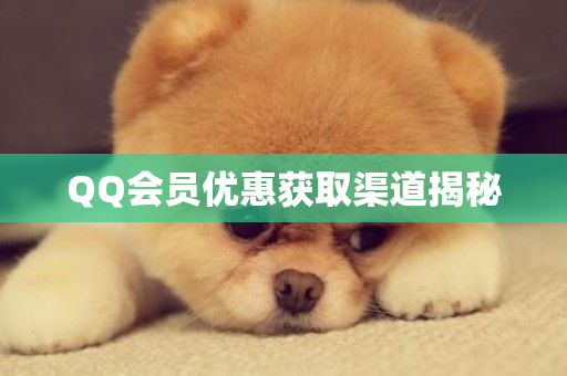 QQ会员优惠获取渠道揭秘-第1张图片-ZBLOG