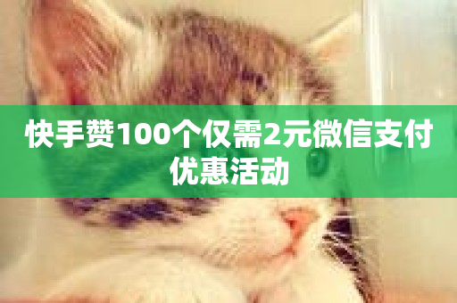 快手赞100个仅需2元微信支付优惠活动-第1张图片-ZBLOG