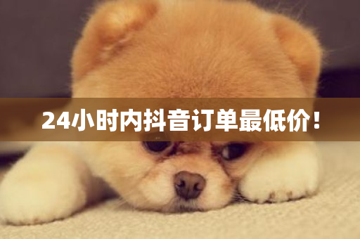 24小时内抖音订单最低价！-第1张图片-ZBLOG