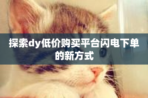 探索dy低价购买平台闪电下单的新方式-第1张图片-ZBLOG