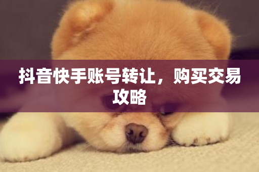 抖音快手账号转让，购买交易攻略-第1张图片-ZBLOG