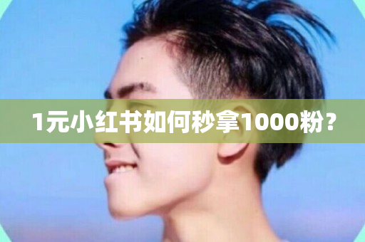 1元小红书如何秒拿1000粉？-第1张图片-ZBLOG