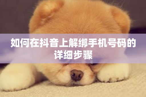 如何在抖音上解绑手机号码的详细步骤-第1张图片-ZBLOG