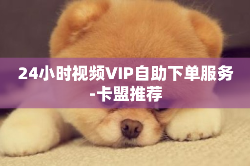 24小时视频VIP自助下单服务-卡盟推荐-第1张图片-ZBLOG