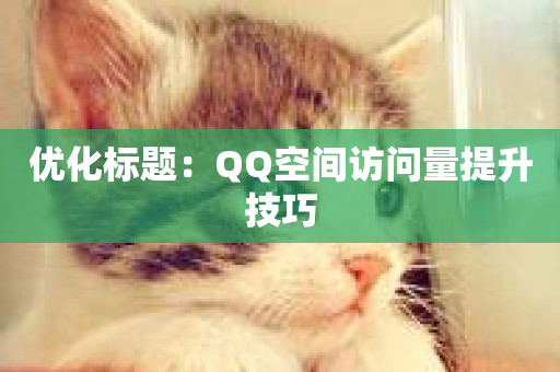 优化标题：QQ空间访问量提升技巧-第1张图片-ZBLOG