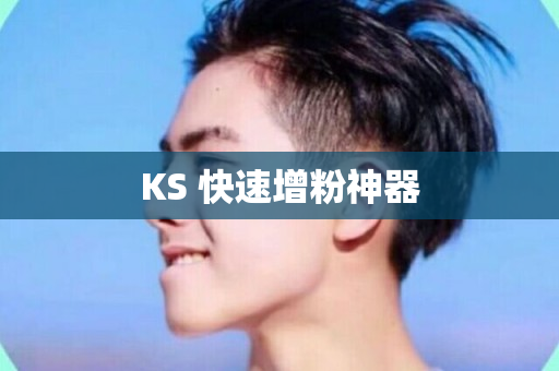 KS 快速增粉神器-第1张图片-ZBLOG