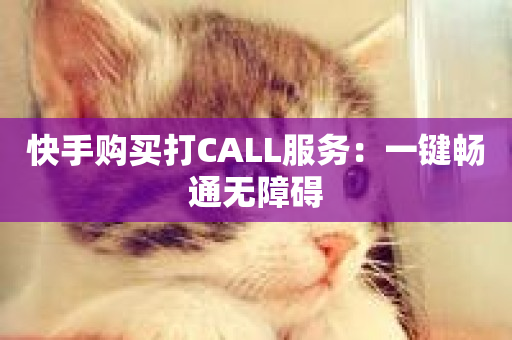 快手购买打CALL服务：一键畅通无障碍-第1张图片-ZBLOG