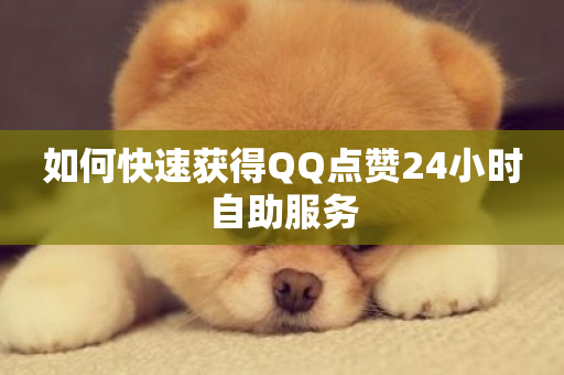 如何快速获得QQ点赞24小时自助服务-第1张图片-ZBLOG