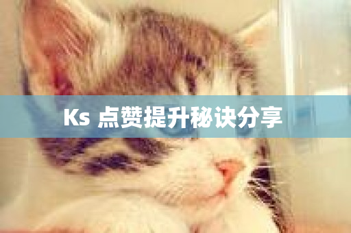 Ks 点赞提升秘诀分享 -第1张图片-ZBLOG