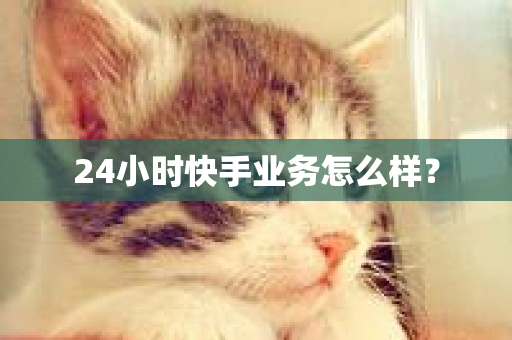 24小时快手业务怎么样？-第1张图片-ZBLOG