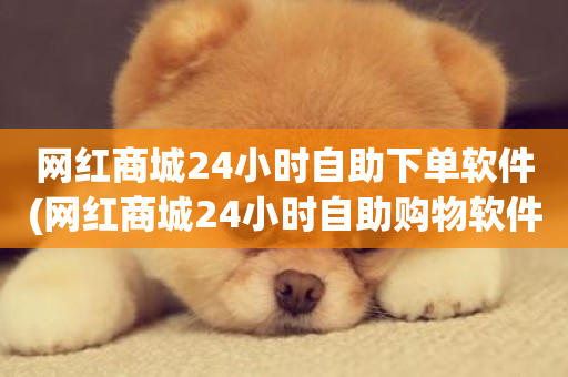 网红商城24小时自助下单软件(网红商城24小时自助购物软件)