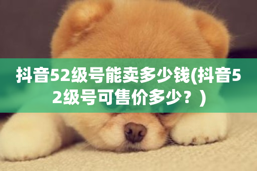 抖音52级号能卖多少钱(抖音52级号可售价多少？)-第1张图片-ZBLOG