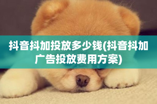 抖音抖加投放多少钱(抖音抖加广告投放费用方案)-第1张图片-ZBLOG