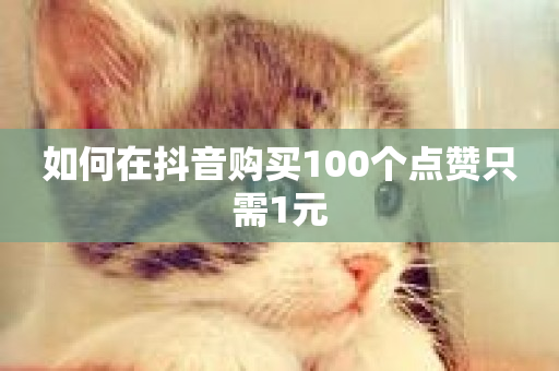 如何在抖音购买100个点赞只需1元-第1张图片-ZBLOG