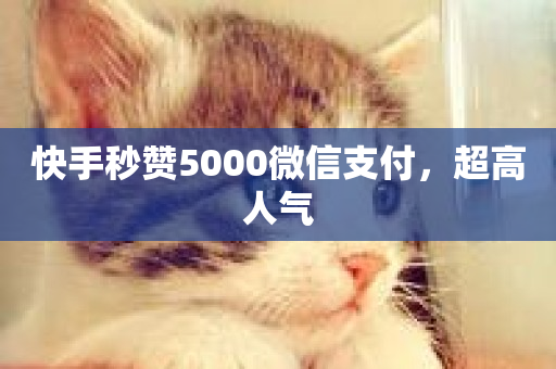 快手秒赞5000微信支付，超高人气-第1张图片-ZBLOG