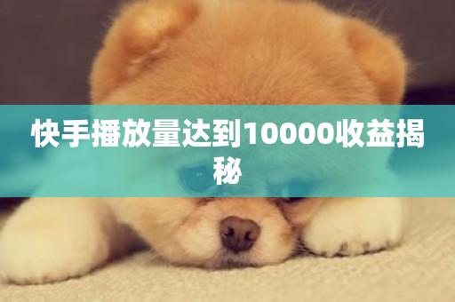 快手播放量达到10000收益揭秘-第1张图片-ZBLOG