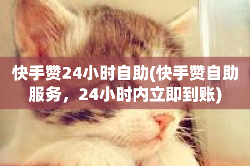 快手赞24小时自助(快手赞自助服务，24小时内立即到账)