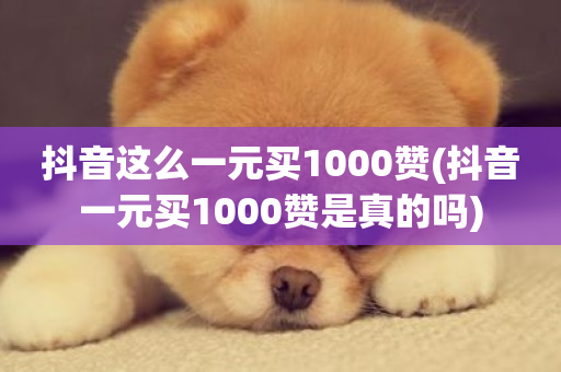 抖音这么一元买1000赞(抖音一元买1000赞是真的吗)