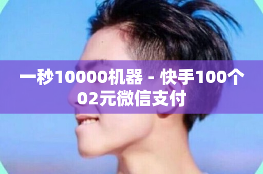 一秒10000机器 - 快手100个02元微信支付