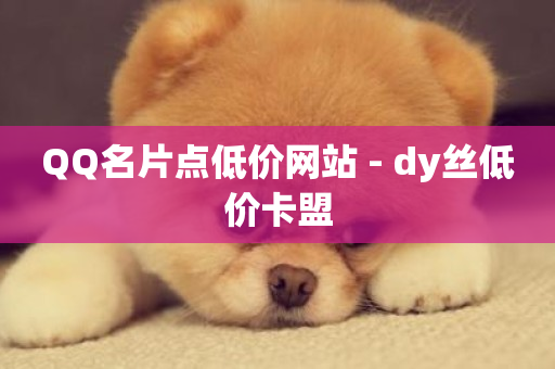 QQ名片点低价网站 - dy丝低价卡盟