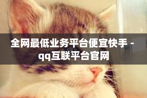 全网最低业务平台便宜快手 - qq互联平台官网-第1张图片-ZBLOG