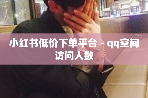 小红书低价下单平台 - qq空间访问人数-第1张图片-ZBLOG