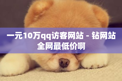 一元10万qq访客网站 - 钻网站全网最低价啊-第1张图片-ZBLOG