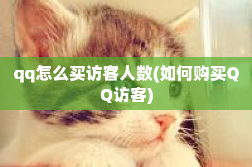 qq怎么买访客人数(如何购买QQ访客)-第1张图片-ZBLOG