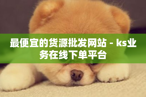 最便宜的货源批发网站 - ks业务在线下单平台-第1张图片-ZBLOG