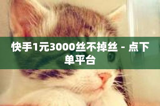 快手1元3000丝不掉丝 - 点下单平台-第1张图片-ZBLOG