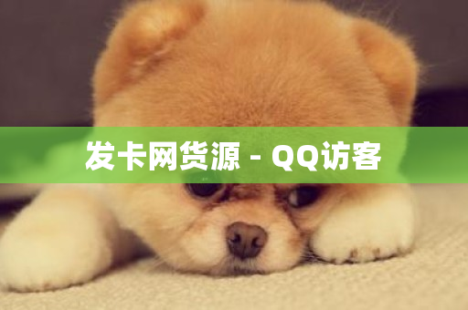 发卡网货源 - QQ访客-第1张图片-ZBLOG