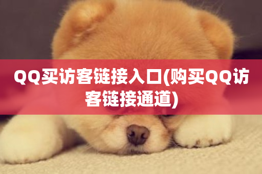 QQ买访客链接入口(购买QQ访客链接通道)-第1张图片-ZBLOG