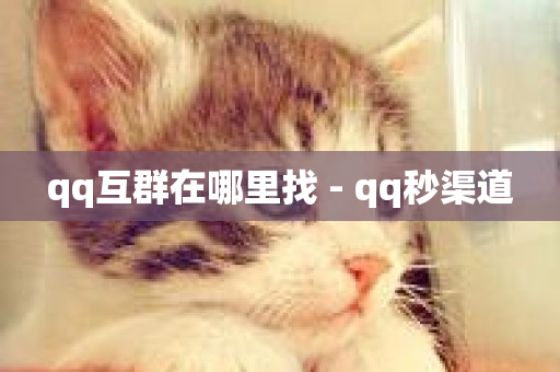 qq互群在哪里找 - qq秒渠道