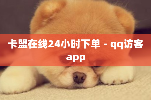 卡盟在线24小时下单 - qq访客app-第1张图片-ZBLOG