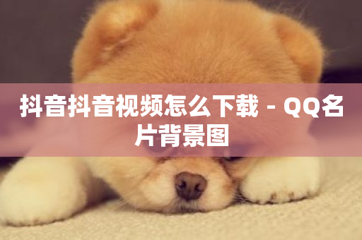 抖音抖音视频怎么下载 - QQ名片背景图-第1张图片-ZBLOG