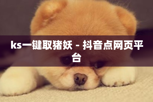 ks一键取猪妖 - 抖音点网页平台-第1张图片-ZBLOG