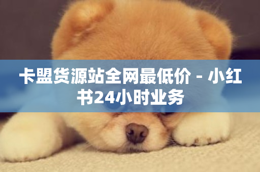 卡盟货源站全网最低价 - 小红书24小时业务-第1张图片-ZBLOG