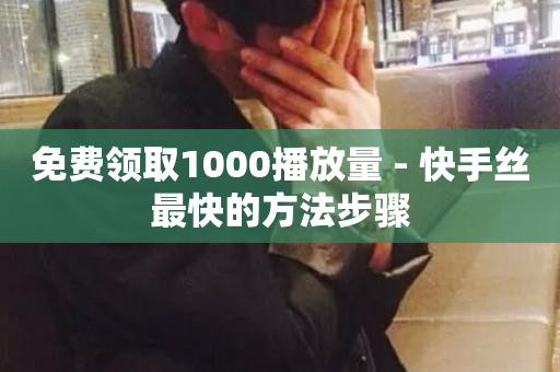 免费领取1000播放量 - 快手丝最快的方法步骤-第1张图片-ZBLOG