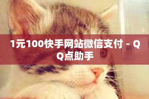 1元100快手网站微信支付 - QQ点助手-第1张图片-ZBLOG