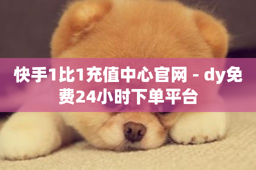 快手1比1充值中心官网 - dy免费24小时下单平台-第1张图片-ZBLOG